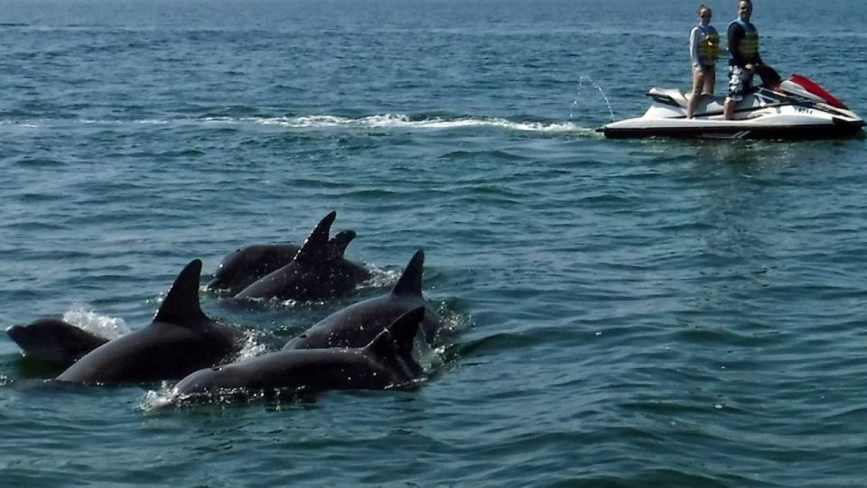 Destin: Crab Island Dolphin Watching Jet Ski Tour - Meeting Point