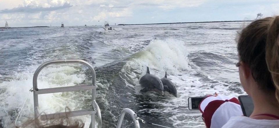 Destin: Dolphin Watch Cruise - Meeting Location