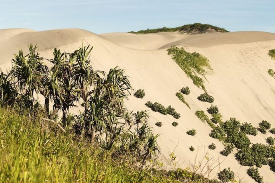 Discover Fijian Culture and Reptiles - Sigatoka Sand Dunes National Park