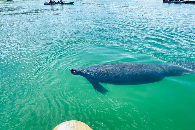 Dolphin and Manatee Adventure Tour of Fort Myers - Directions and Accessibility