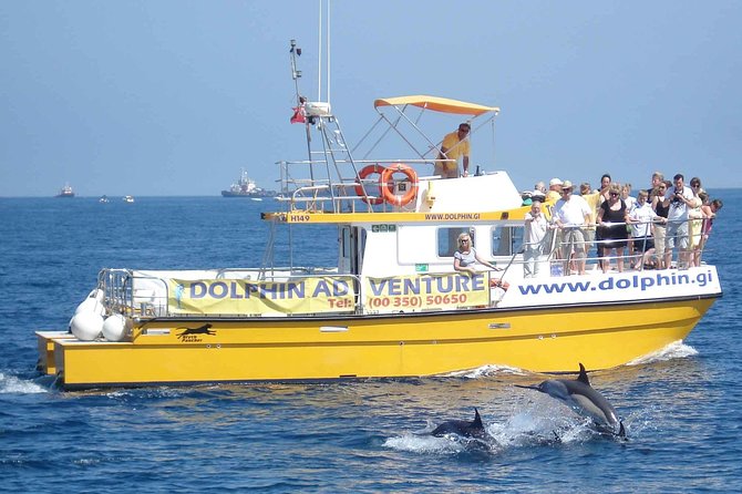 Dolphin Watching in Gibraltar & Fast Track Priority Cable Car - Reviews and Feedback From Customers