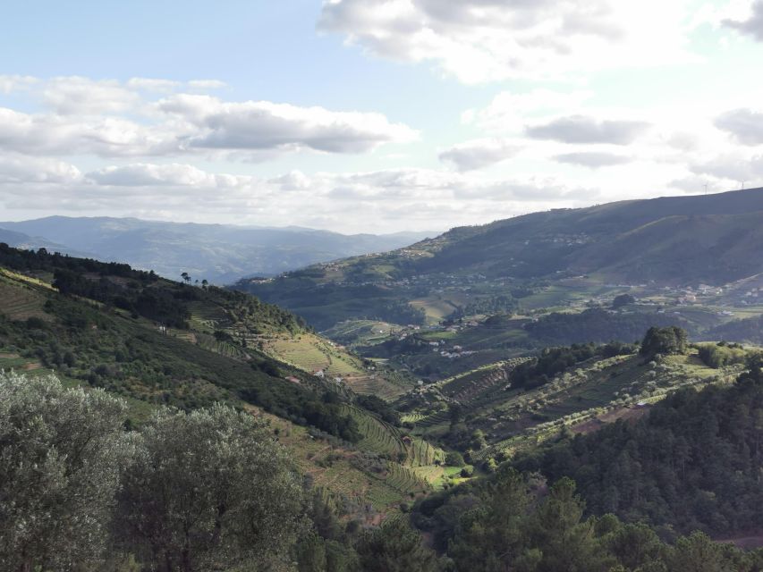 Douro Exclusive: Tour Locations - Douro Valleys and Viewpoints