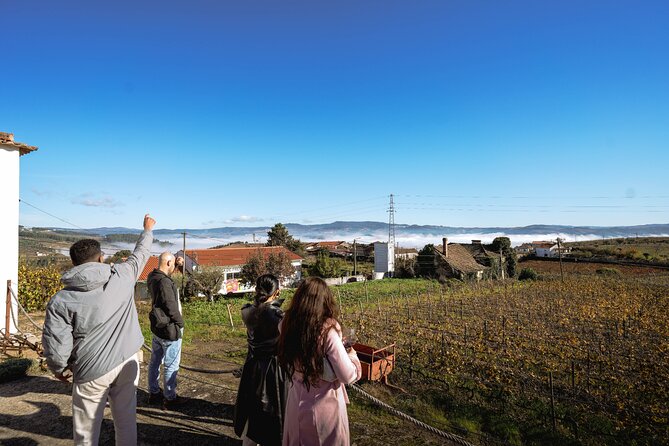 DOURO VALLEY in 8 Pax Groups W/ 2 Wineries, Lunch and 1h Cruise - Additional Details