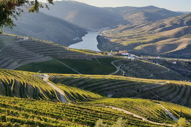 Douro Valley Private Tour (All Inclusive) - Additional Information