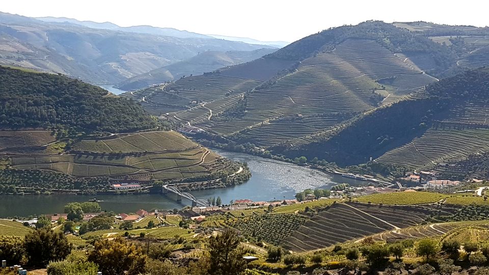 Douro Valley Tour Wines and Breathtaking Views - Important Considerations