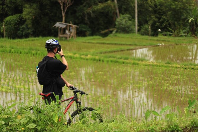 Downhill Cycling Tour Ubud Through Jungle and Rice Terrace - Local Experience