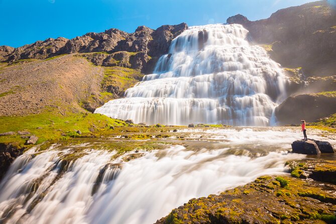 Dynjandi Waterfall & Iceland Farm Visit Tour - Traveler Ratings and Reviews