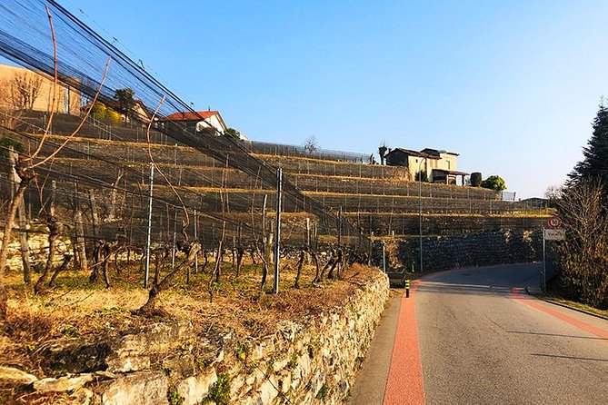 E-Bike Tour Lake Como and Swiss Vineyards - Crossing Into the Swiss Vineyards