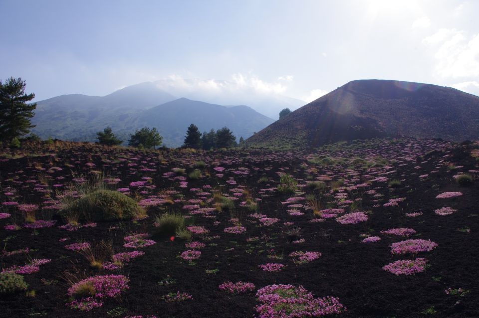 Etna Private Sunset Tour With Prosecco - Additional Information