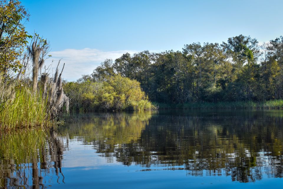 Everglades City: Guided Kayaking Tour of the Wetlands - Recap