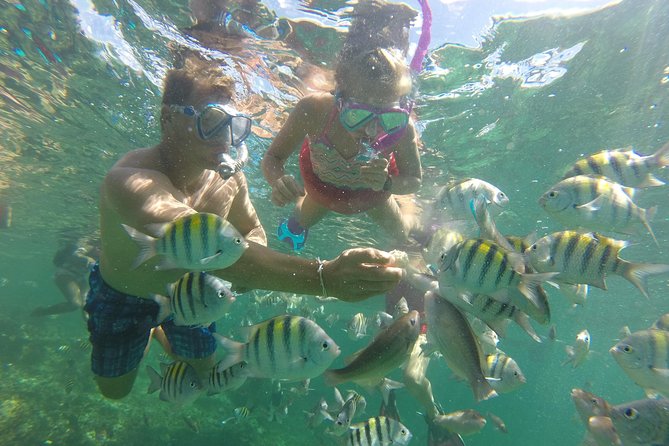 Family Friendly Snorkel Cruise and Seafood Lunch in Punta Cana - Traveler Reviews and Ratings
