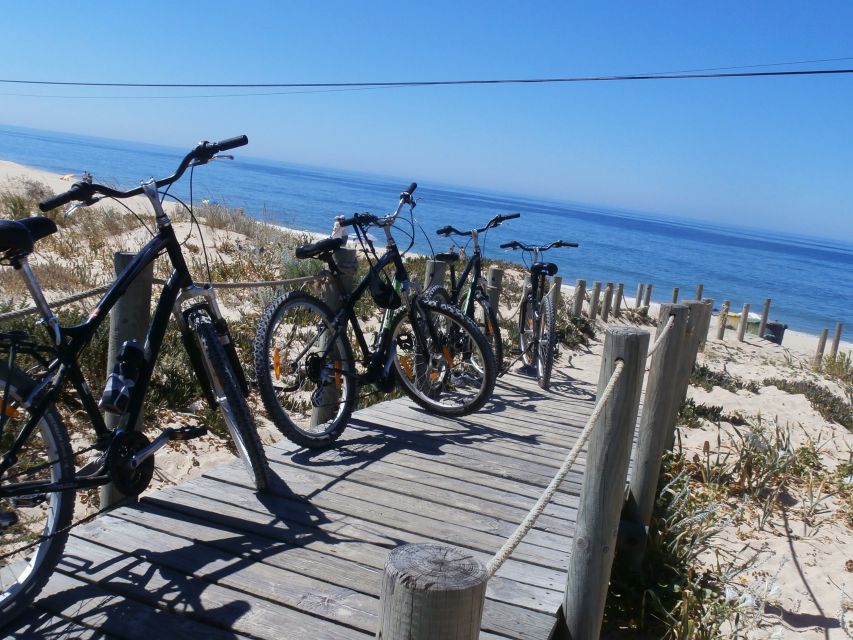 Faro Bike Tour Through the Beautiful Ria Formosa - Meeting Point and Information