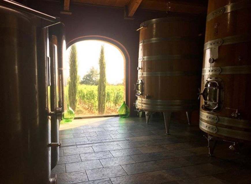 Florence: Private Full-Day Brunello Wine Tour to Montalcino - Tasting Experiences