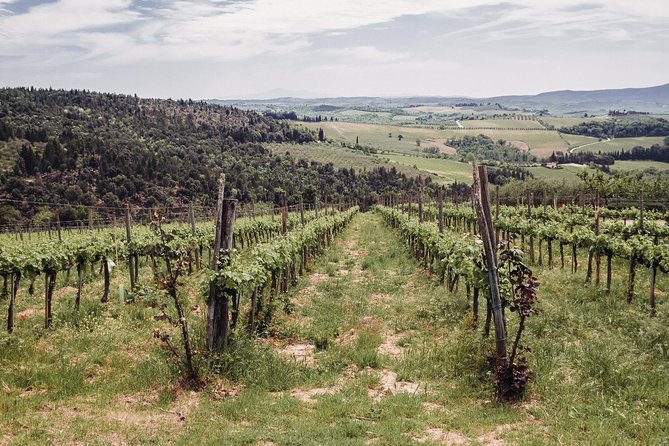 Florence to Tuscany: Chianti, Siena, San Gimignano & Wine +Lunch - Booking and Confirmation