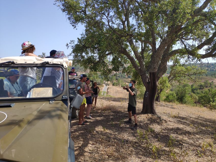 From Albufeira: Algarve Sunset Jeep Safari With Wine - Logistical Considerations