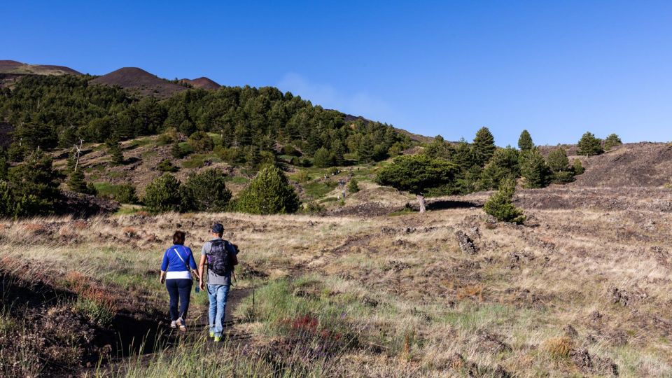 From Catania: Private Mount Etna Trek - Highlights of the Trek