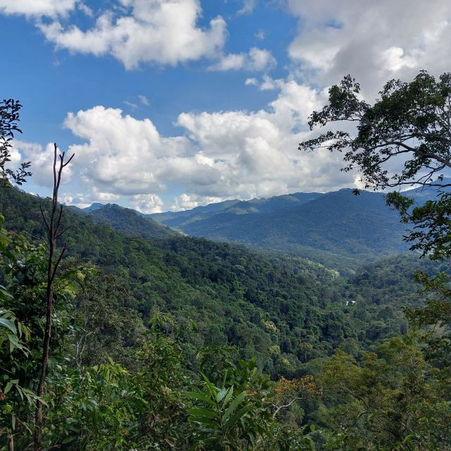 From Chiang Mai: Doi Saket Hiking Tour With Lunch - Waterfall and Natural Surroundings