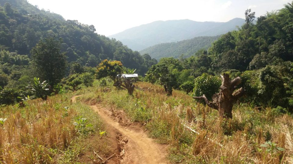 From Chiang Mai: High Mountain Day Trek - Return to Chiang Mai