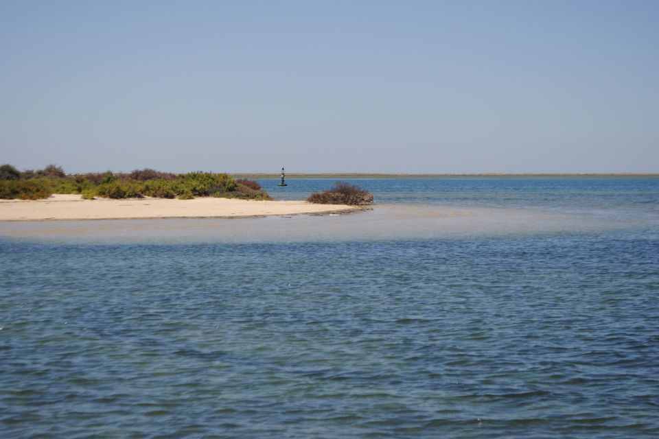 From Faro: Ria Formosa Lagoon Boat Tour With Local Guide - Meeting Point Information