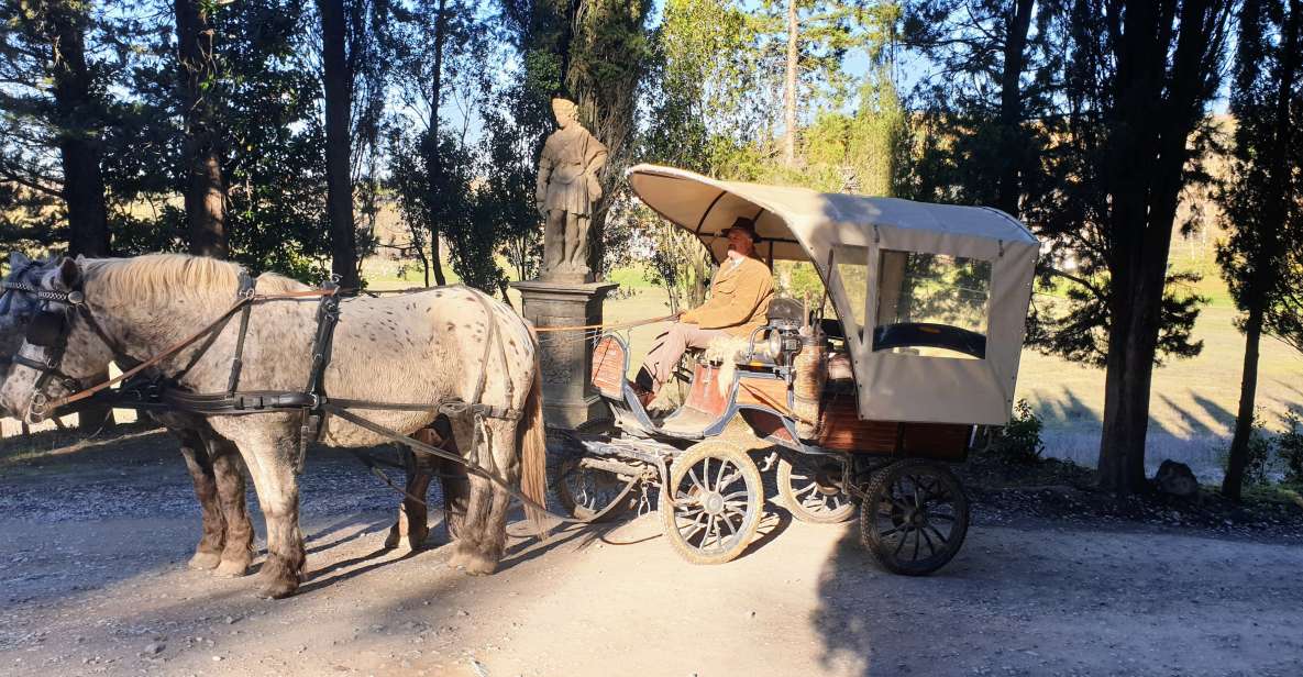 From Florence: Carriage Ride in Chianti Hills With Lunch - Lunch Menu Options