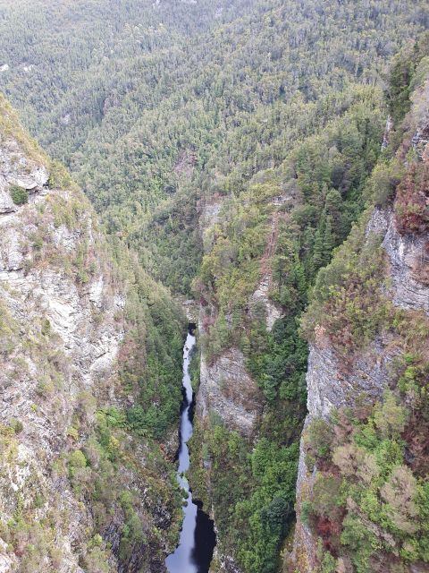 From Hobart: Gordon Dam and Lake Pedder Wilderness Day Tour - Frequently Asked Questions