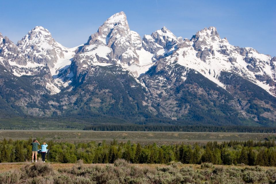 From Jackson Hole: Half-Day Grand Teton Wildlife Tour - Important Tour Details