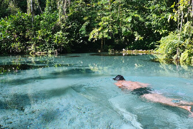 From Khao Lak : Cheow Lan Lake & Nam Rad Emerald Pool - Booking Information