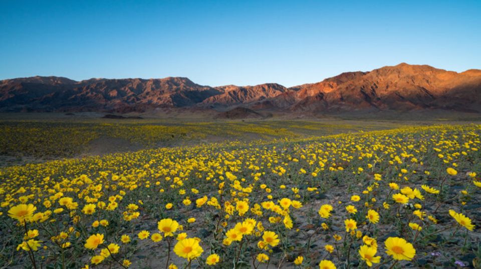 From Las Vegas: Full Day Death Valley Group Tour - Frequently Asked Questions