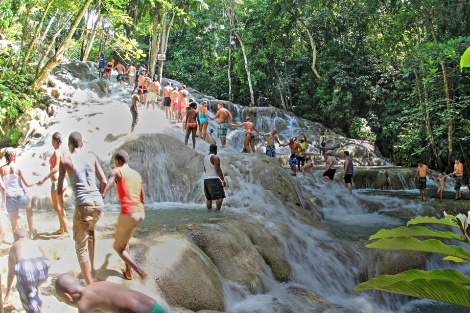 From Montego Bay: Dunn's River Falls Experience - Getting to Dunns River Falls