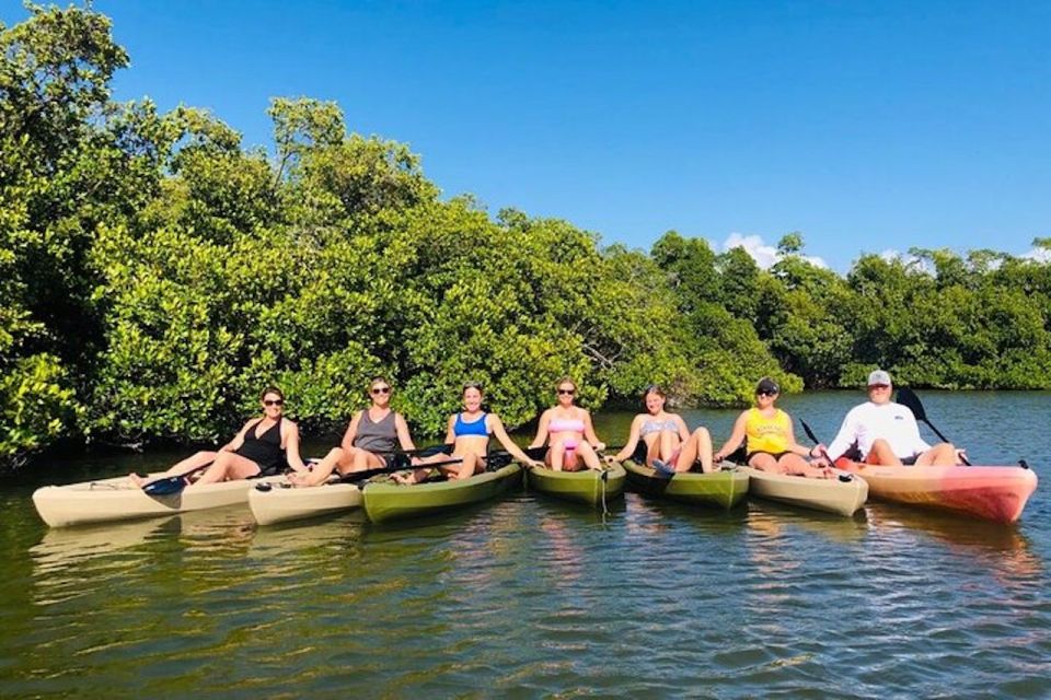 From Naples, FL: Marco Island Mangroves Kayak or Paddle Tour - Tour Highlights