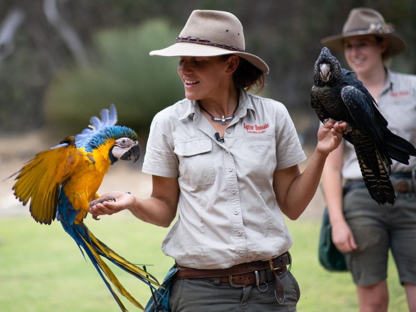 From Penneshaw: Kangaroo Island Sights and Wildlife Tour - Recap