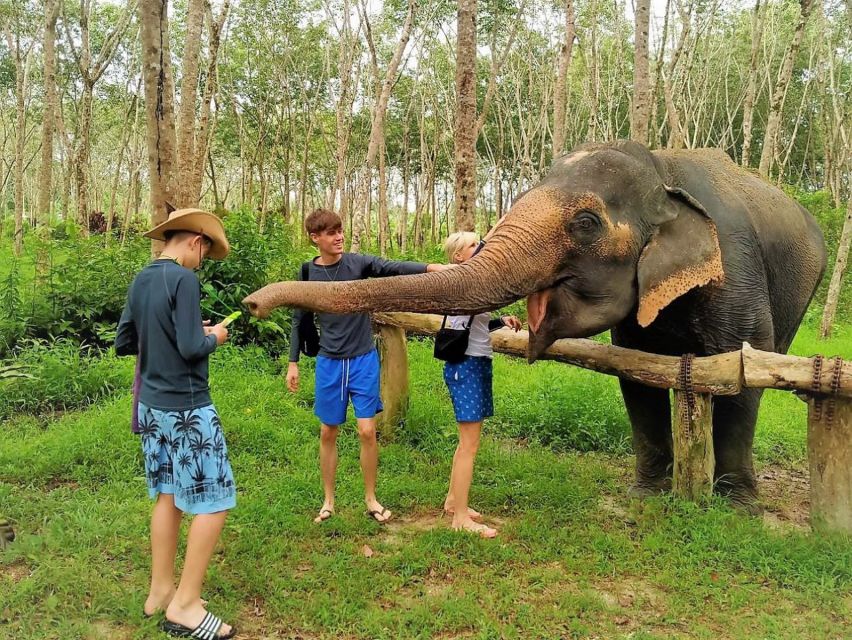 From Phuket: Elephant & Sea Turtle Conservation Private Tour - Khao Lak Elephant Home