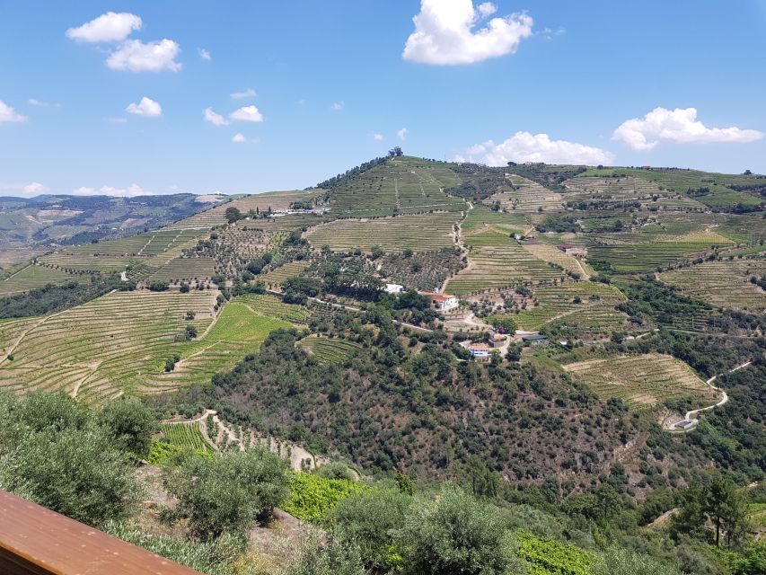 From Porto: Douro Valley 3 Vineyards Tour With Lunch - What to Bring