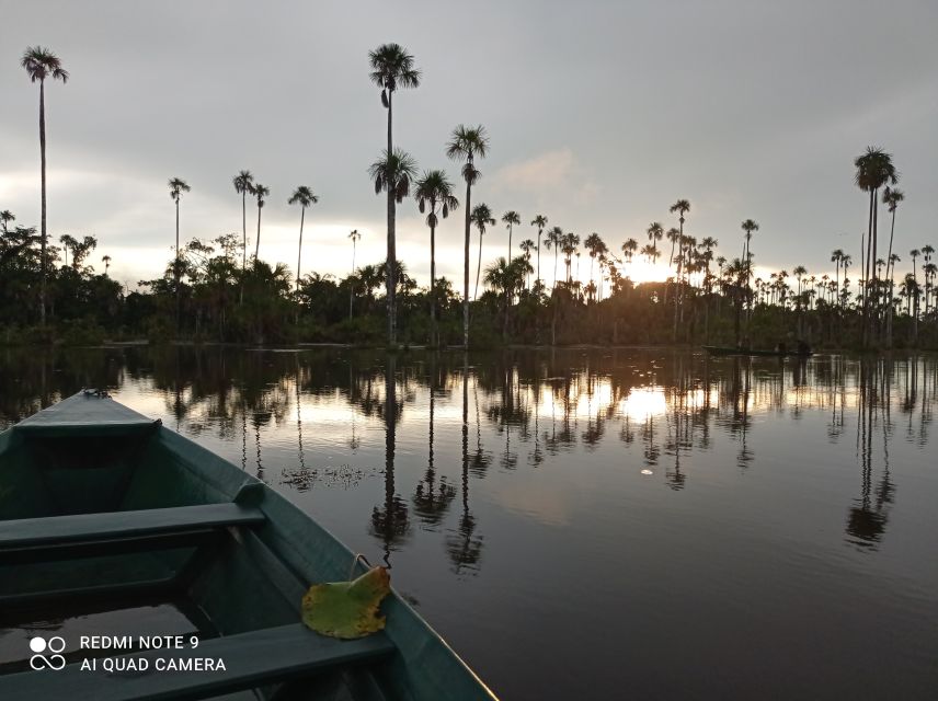 From Puerto Maldonado: 4-Day Excursion /wildlifesearch - Fascinating Night Nature Walk