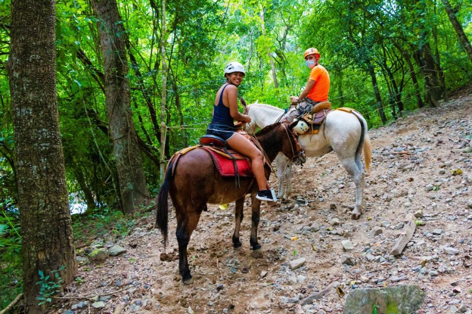 From Puerto Vallarta & Nuevo Vallarta: Canopy Zipline Tour - Included and Excluded Services