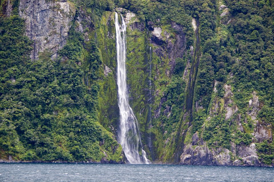 From Queenstown: Milford Sound Full-Day Trip by Plane & Boat - Live Tour Guide and Accessibility