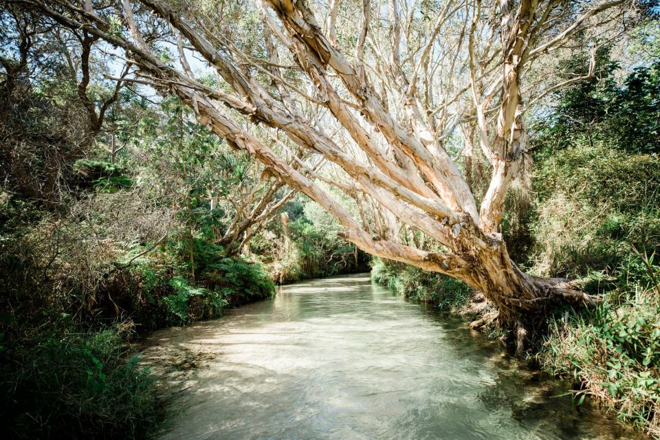 From Rainbow Beach: Kgari, Fraser Island Two-Day Coach Tour - Directions