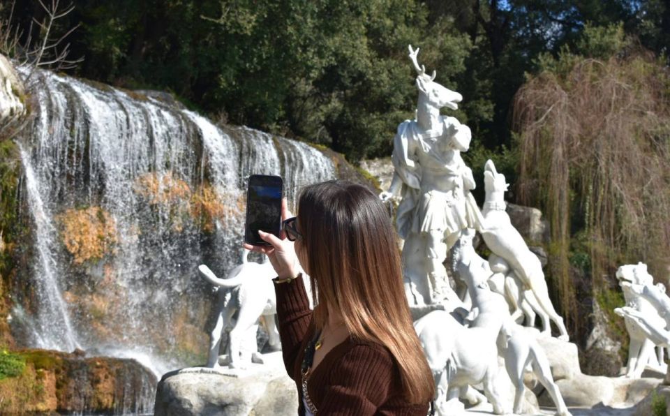 From Rome: Royal Palace of Caserta Entry and Train Ticket - Meeting Point and Accessibility