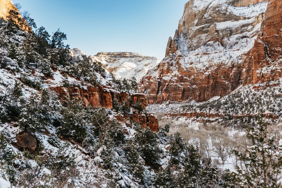 From Springdale: 4-hour Zion Canyon Scenic Hiking Tour - Customizing the Hiking Experience