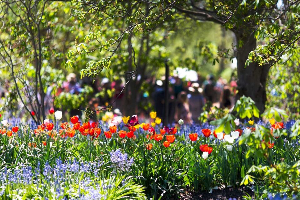 From Sydney: Canberra City Highlights and Floriade Day Tour - Frequently Asked Questions