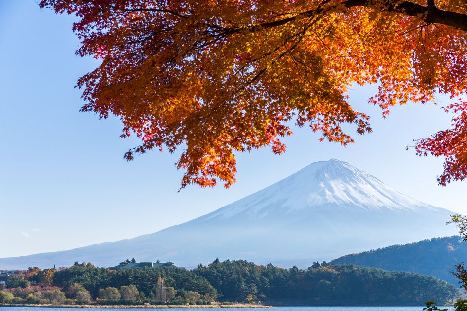 From Tokyo: Mt. Fuji or Hakone Private Sightseeing Day Trip - Cruising on Hakone Sightseeing Boat