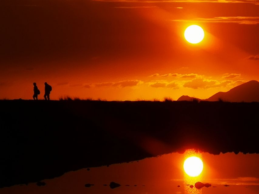 From Trapani: Salt Road Tour With Winery Visit and Boat Trip - Group Size and Accessibility