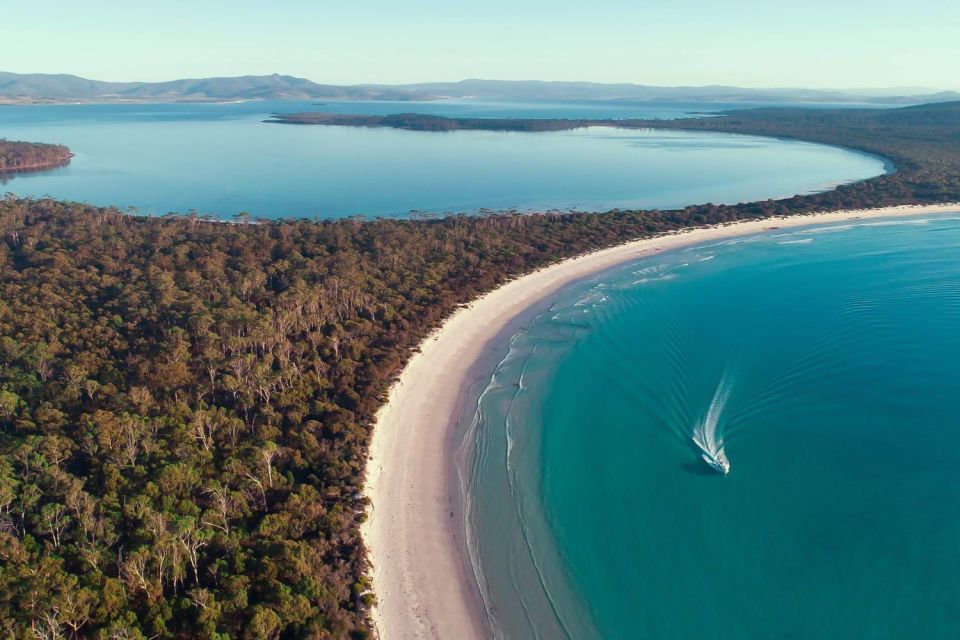 From Triabunna: Maria Island Cruise & Guided Walk With Lunch - Recap