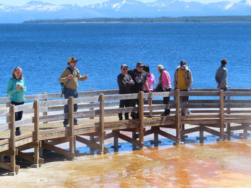 From West Yellowstone: Lower Loop Active Van Tour - Morning Snack and Hot Drink