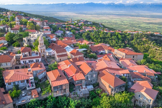 Full-Day Guided Tour to Kakheti - Group - Cancellation Policy