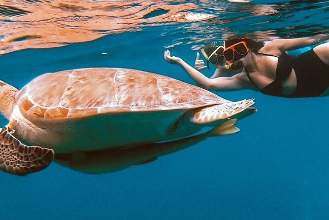Full-Day Snorkeling Tour to Culebra Island With Lunch - Business Hours