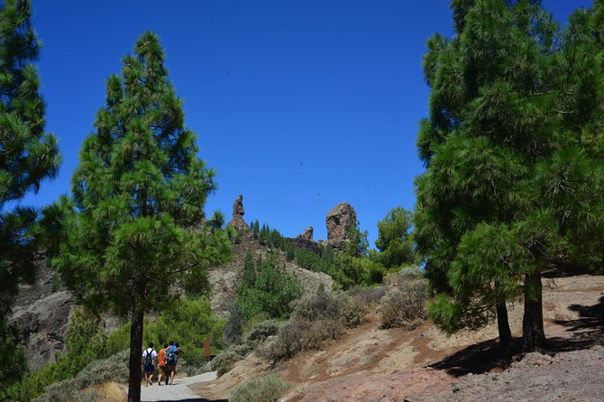 Full Day to Bandama Volcano, Center and High Peaks of Gran Canaria & Roque Nublo - Important Considerations