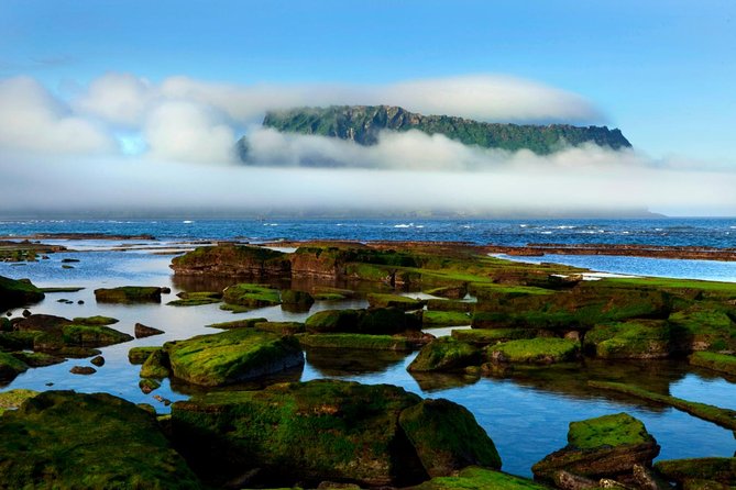 Fully Customizable Private Tour of Jeju Island - Booking and Confirmation