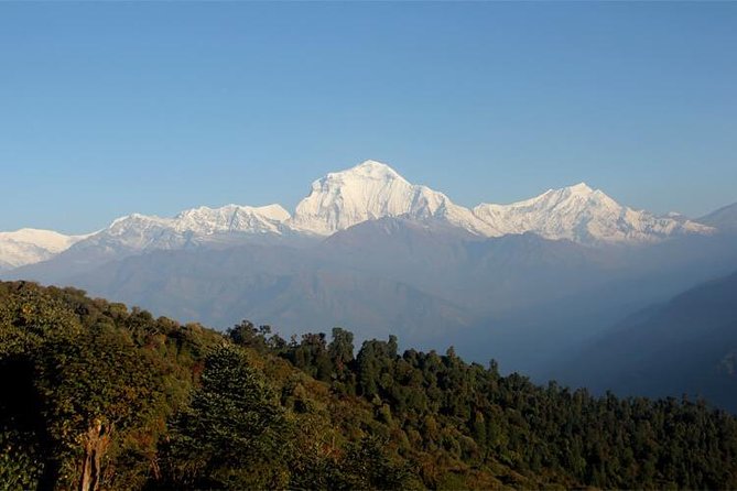 Ghorepani Poon Hill Trek - Tips for a Successful Trek