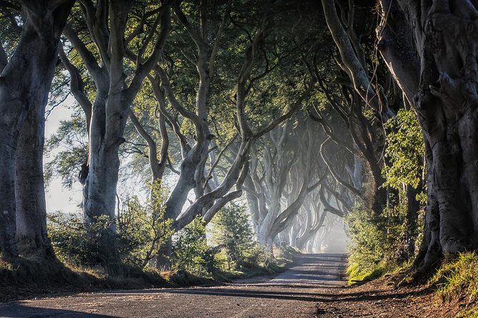 Giants Causeway and More Including Titanic Experience Ticket Tour From Belfast - Experience the North Atlantic Coastline